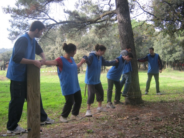  Equilibrio di gruppo 